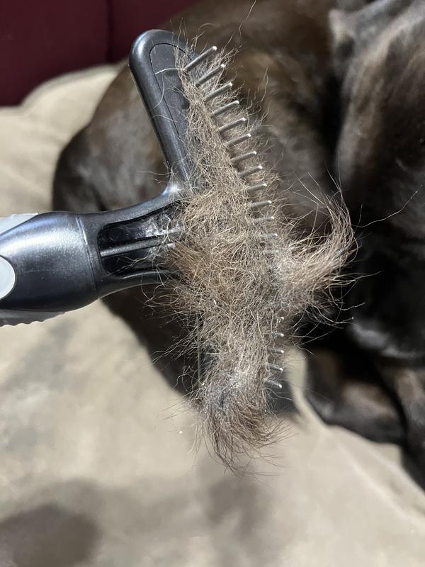Three passes down her hind quarters - it’s a lot of shedding fur!