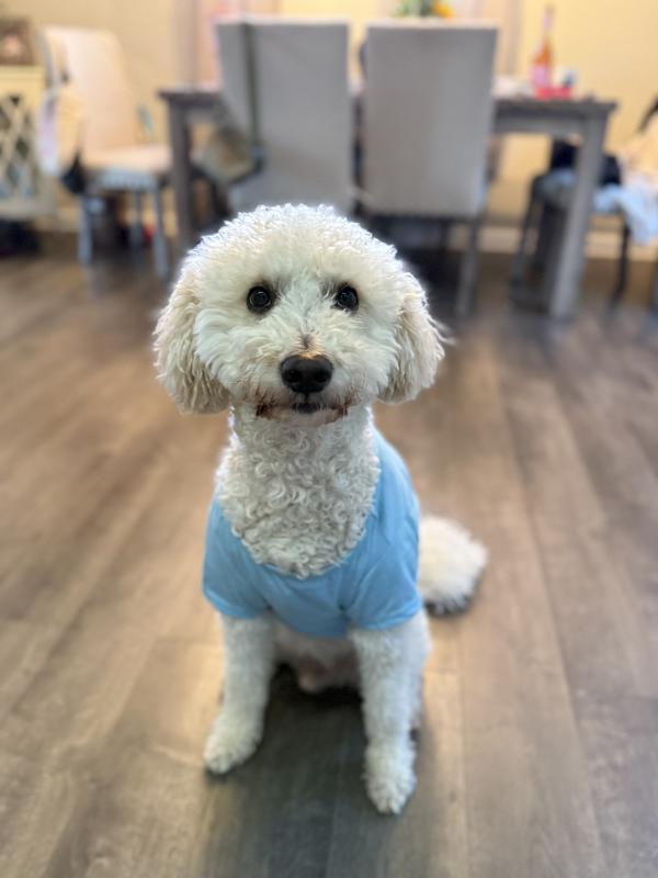 Milo