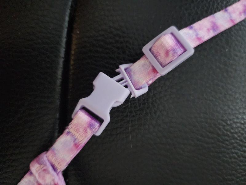 the stuck buckle