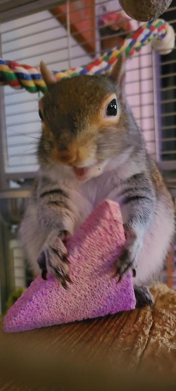She love's her pumice!