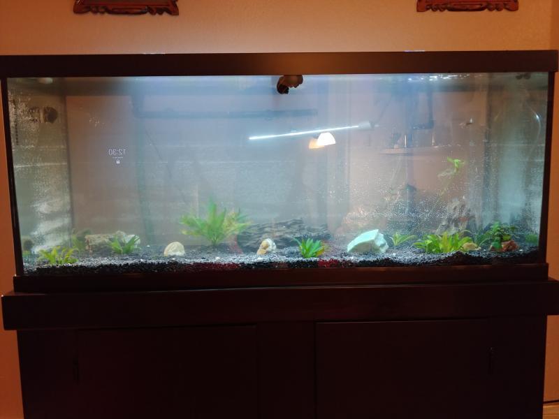 My 75gal tank