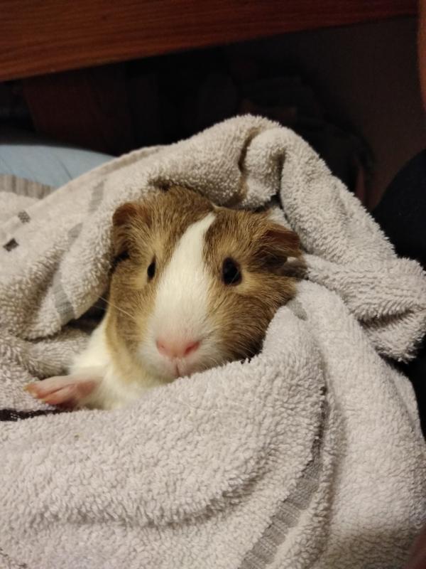 First nail trim