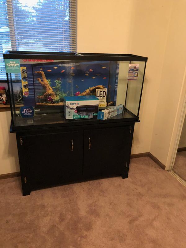 My new fishs
