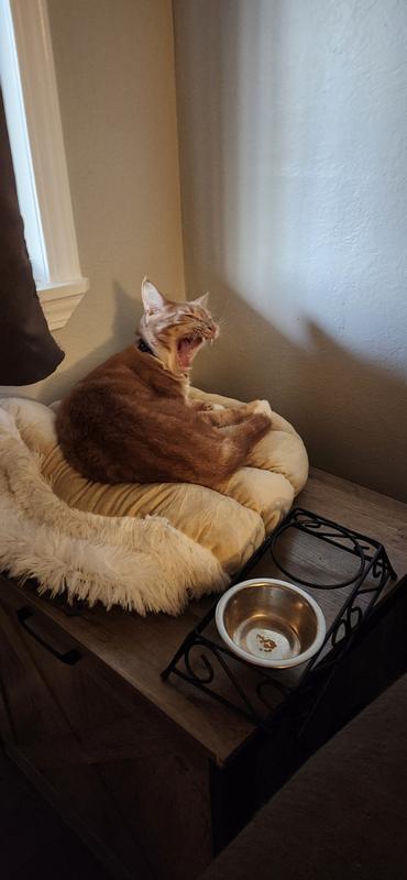 His preferred way of laying.