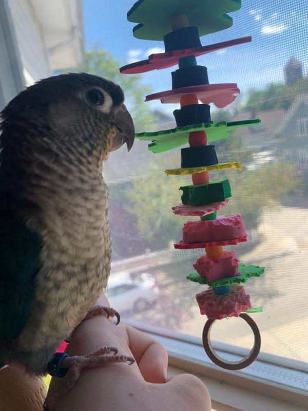 Proud of her destruction