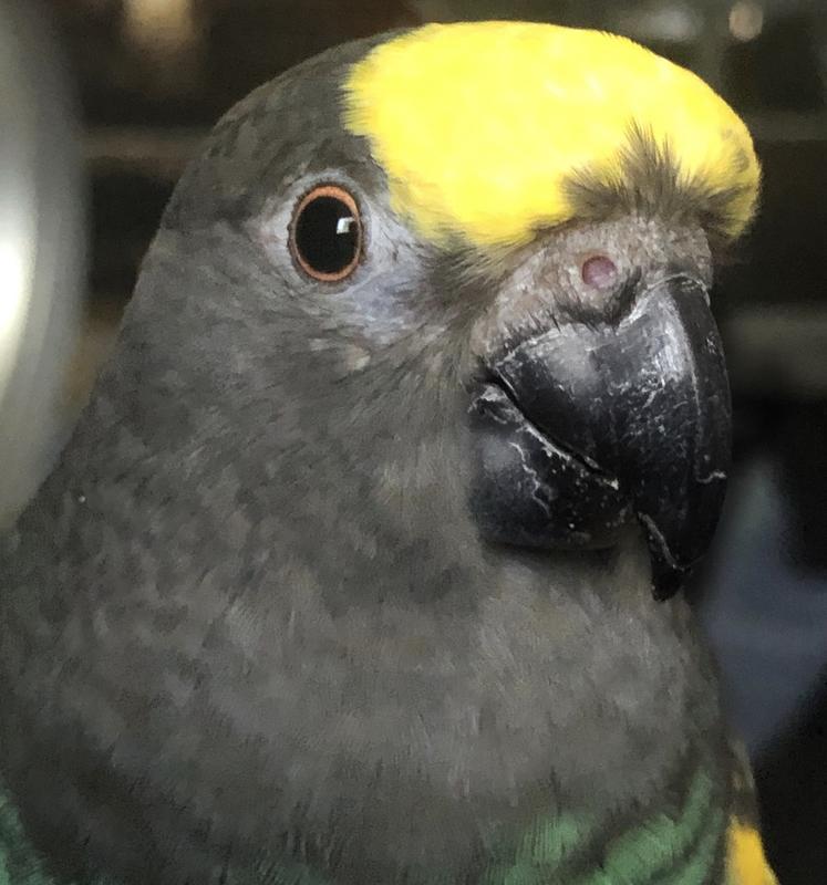 Photo - commentaire 4.