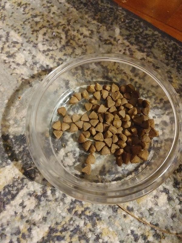 Perfect size