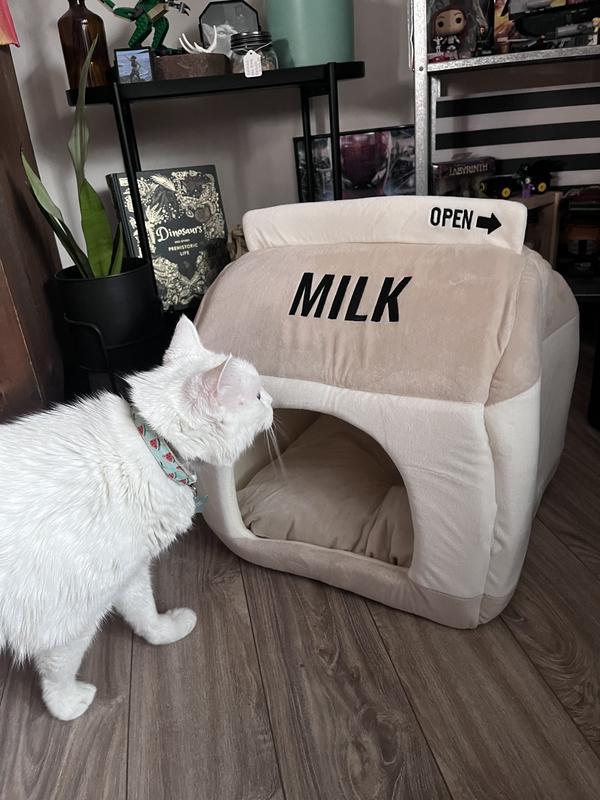 Photo - commentaire 2.