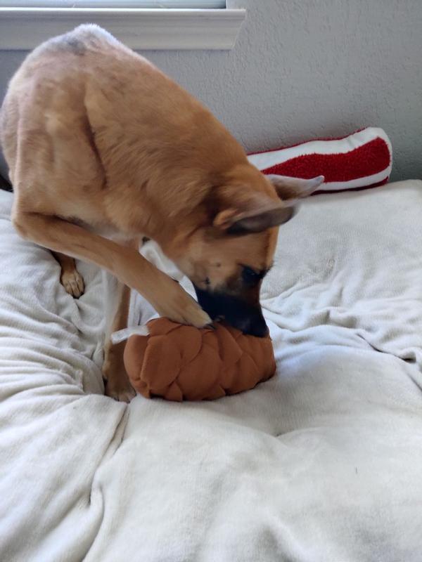 Photo - commentaire 8.