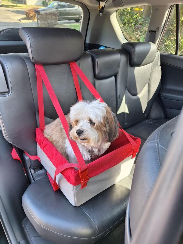 He's ready for the road trip!