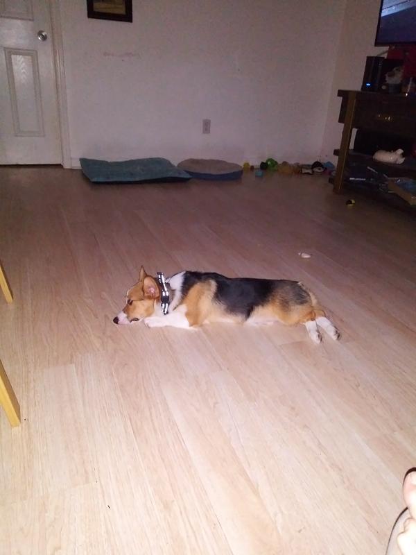 Photo - commentaire 4.