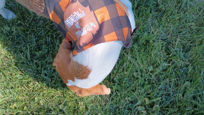 Photo - commentaire&nbsp;5.