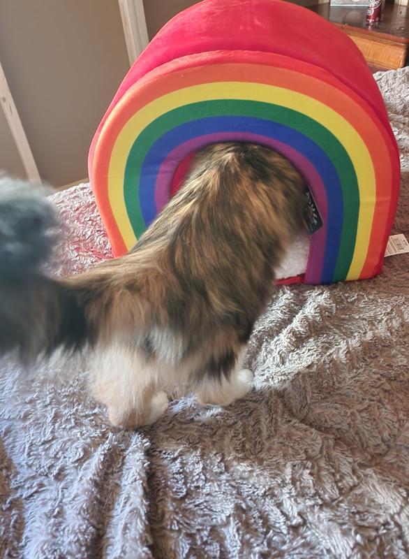 YOULY Pride Rainbow Pet Bed