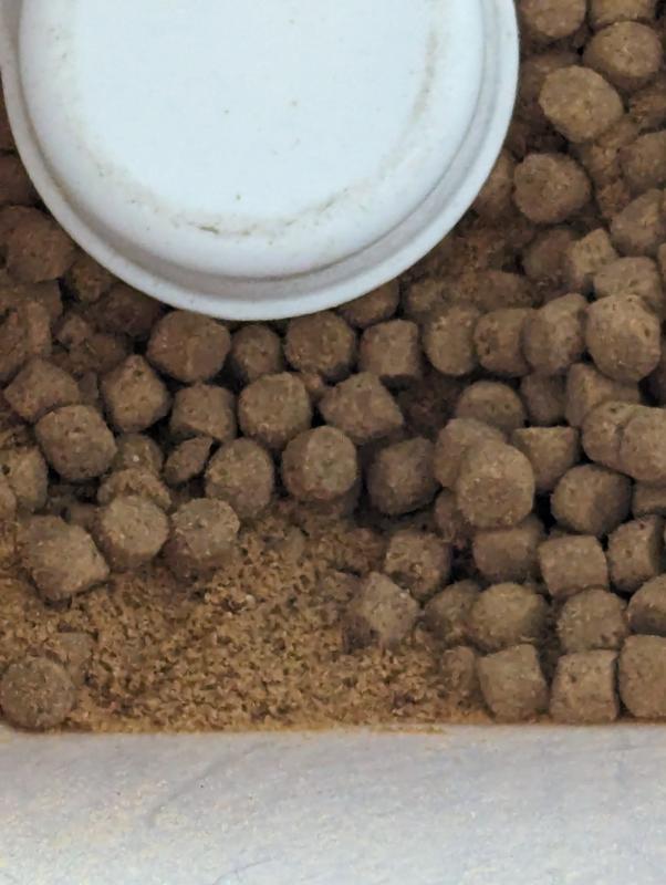 WholeHearted All Life Stages Chicken and Brown Rice Recipe Dry Dog Food, 45 lbs.