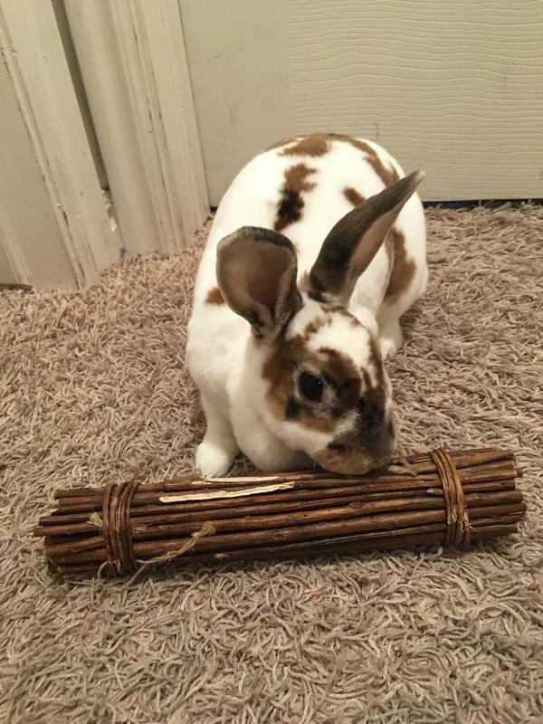 Poppy won it