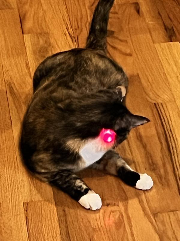 “Where did it go?!?!”