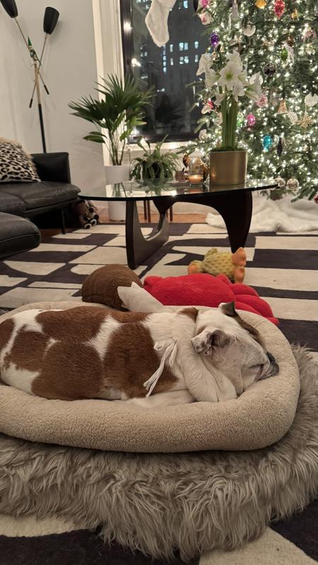 Photo - commentaire 8.