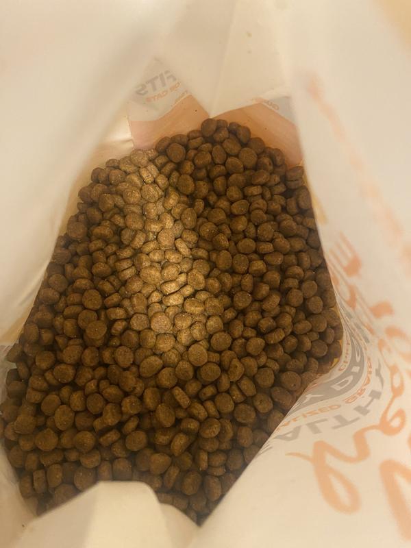 Photo - commentaire&nbsp;6.