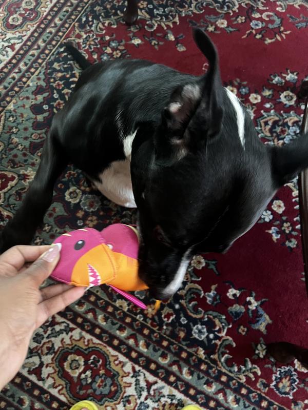 Photo - commentaire&nbsp;4.