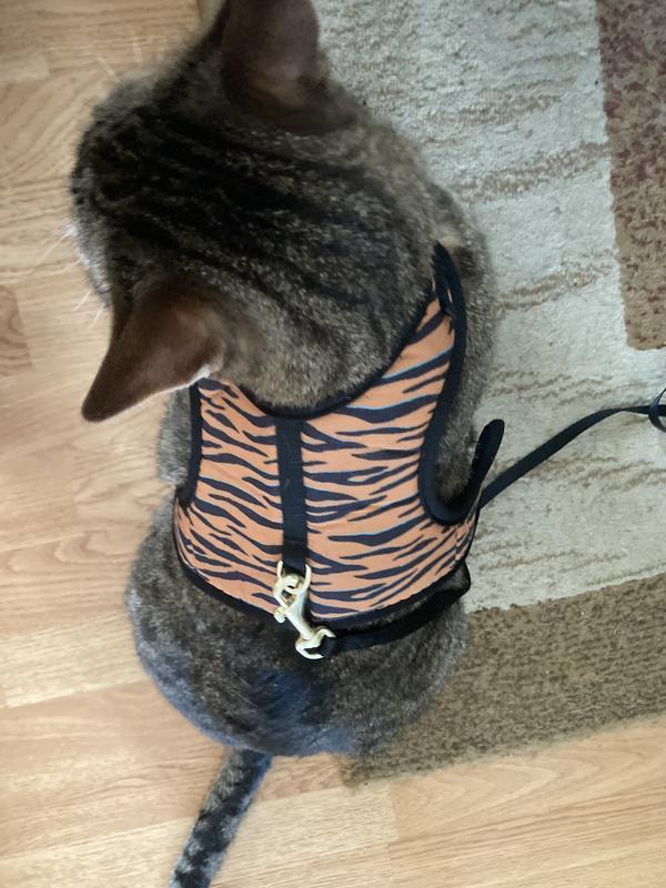 Youly Harness