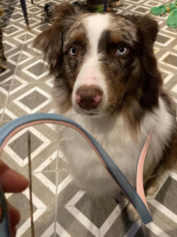 Ready to walk!