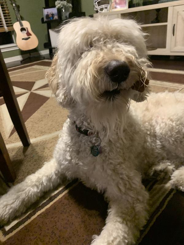 Don't you dare try and take the treat away!
