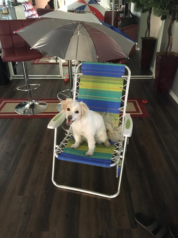 getting ready for the lake!