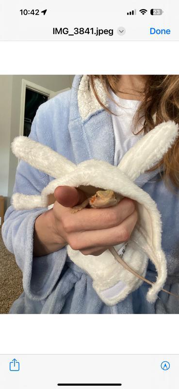 Blaze has a long way to go until he fits in this… maybe next Easter???