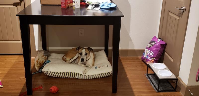 Photo - commentaire&nbsp;4.