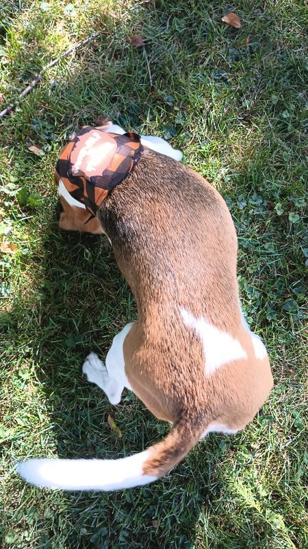 Photo - commentaire&nbsp;4.