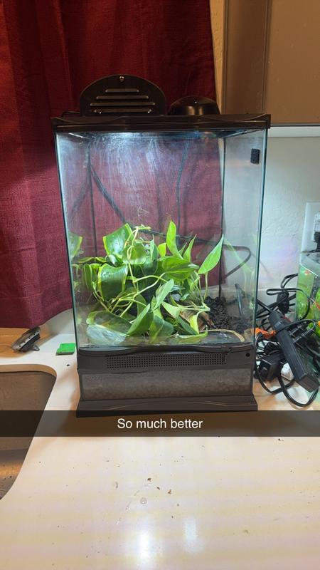 Ended up using it for my frogs