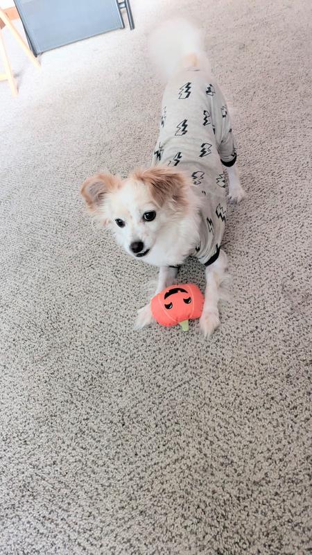 Photo - commentaire 8.