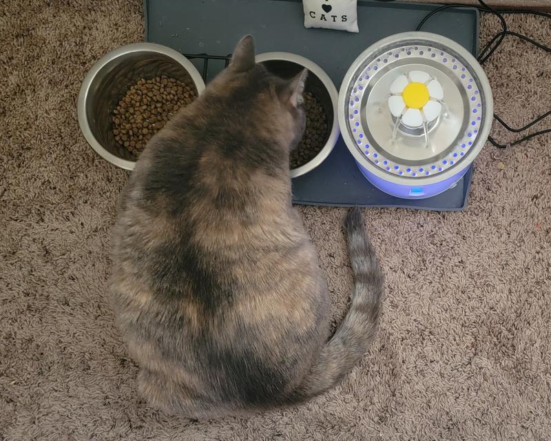 Loves to Eat