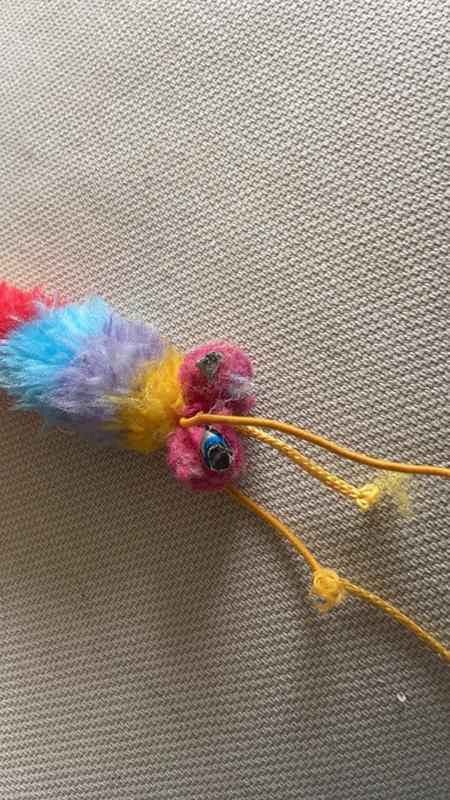 As you can see after excessive chewing the eyeballs are still intact