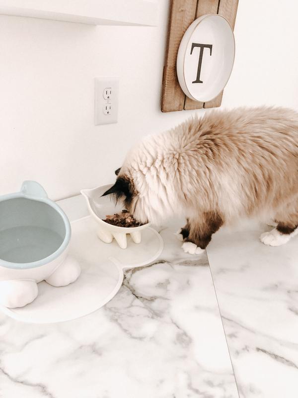 Meow, meow…
