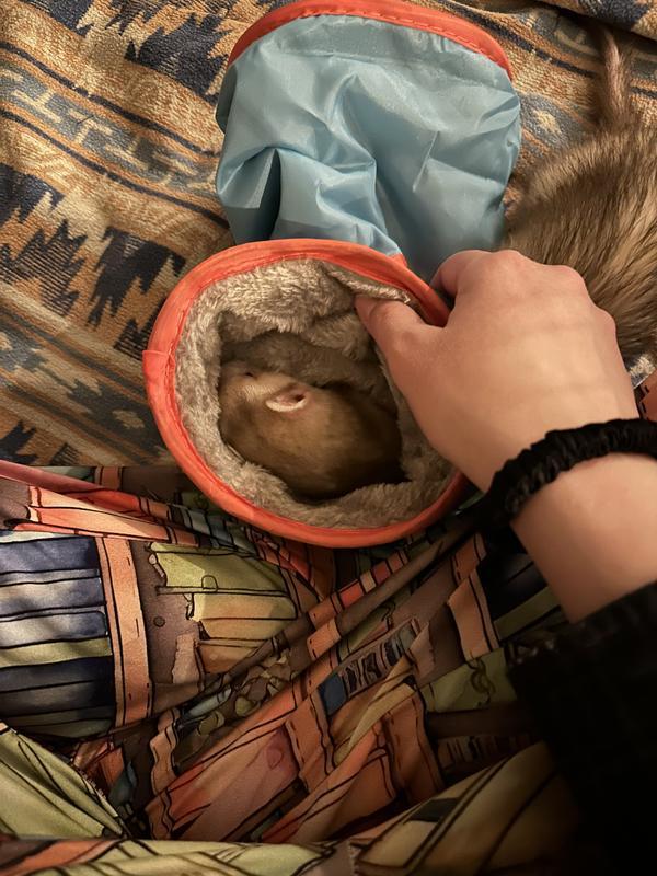 She refused to come out!