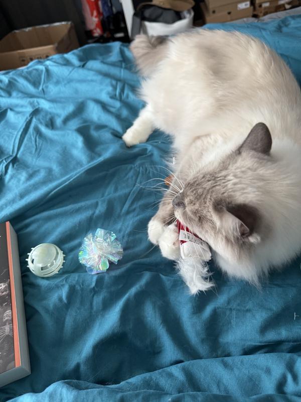 Cats love playing with these toys.