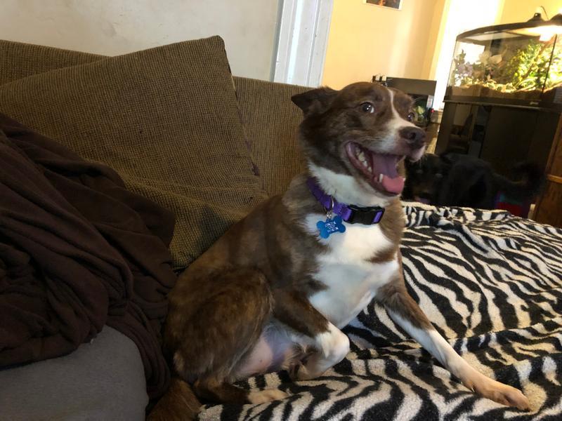 Photo - commentaire&nbsp;4.