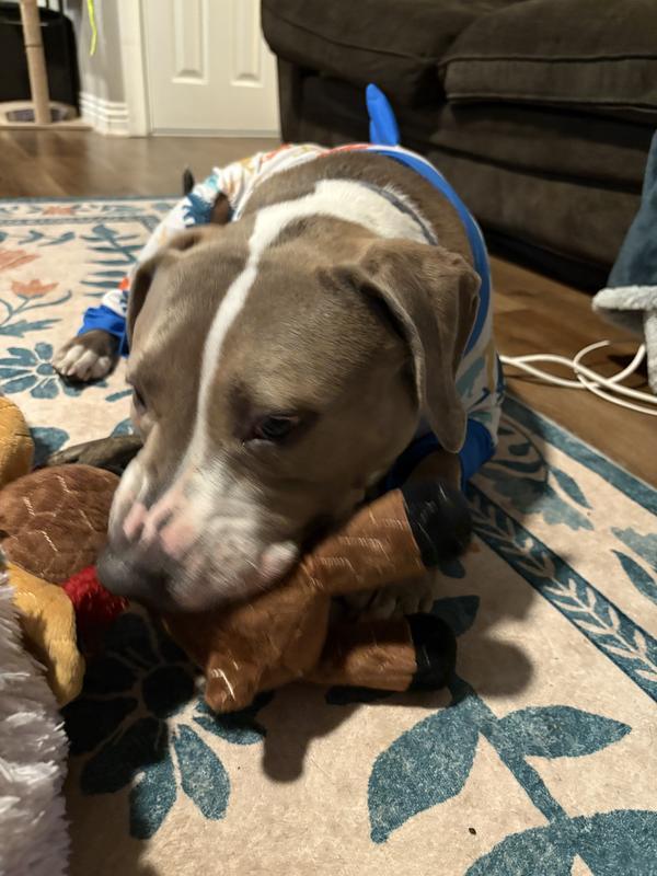 Photo - commentaire&nbsp;6.