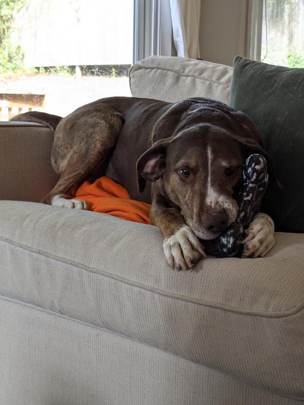 Photo - commentaire&nbsp;3.