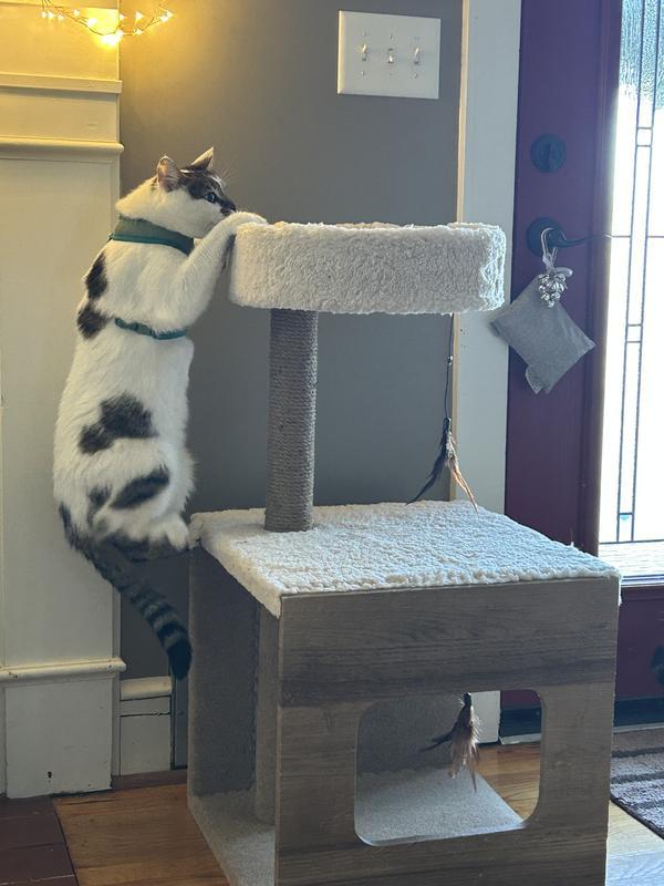 Look at me; I can even climb in this thing!