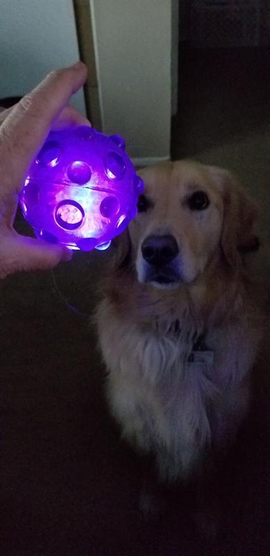 riveting!  he wants it!