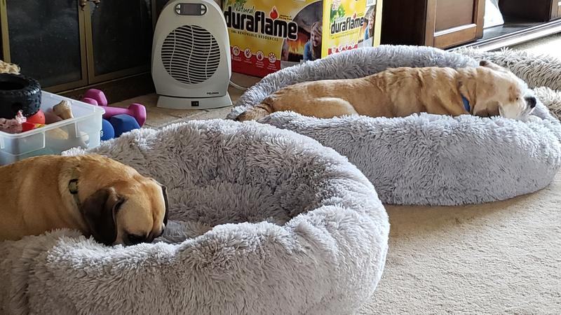 Tucker and Winston enjoying their Nohide penaut butter bones.  Notice they try to hide it from each other and keep it to themselves.  A sure sign they love them.