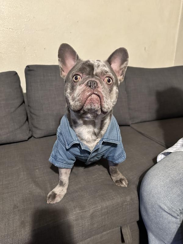 Front view of him sitting