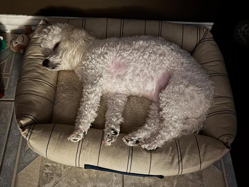 Full stretch!