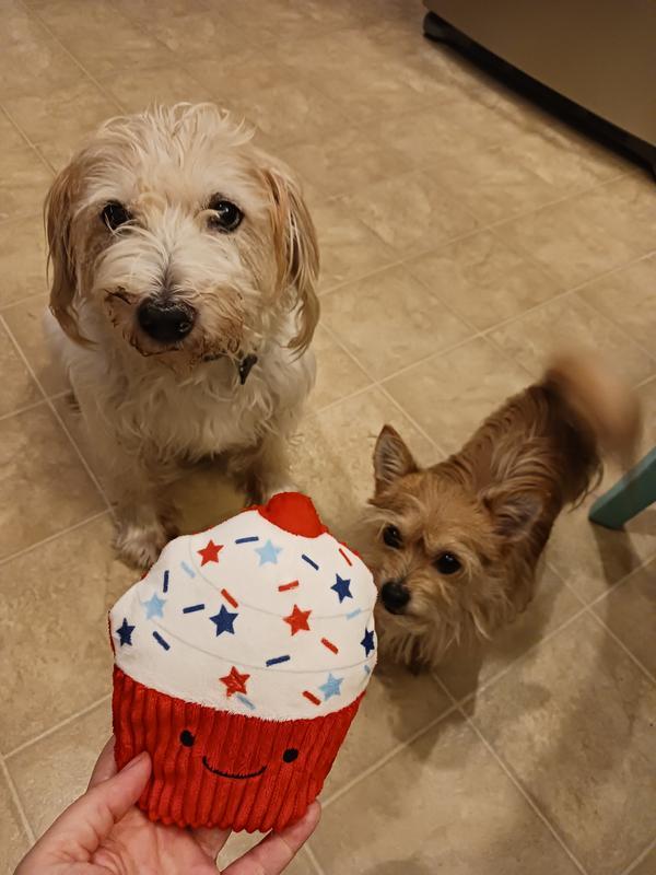 Both dogs were excited when I took it out, but only our small dog played with it. I diverted our bigger dog with a different toy.