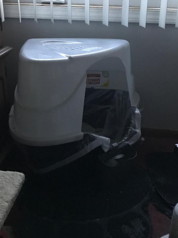 Kitty potty