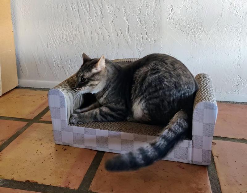 Good for scratching.