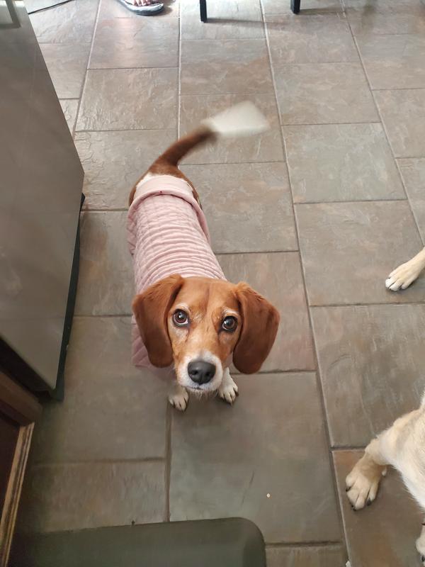 Pretty in pink!