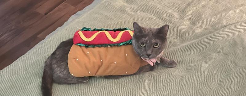 Photo - commentaire 3.